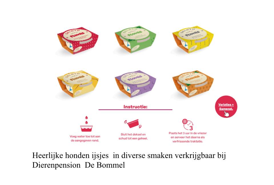 Heerlijke honden ijsjes