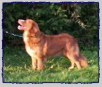 Xena tjebbe van de Victoriahof