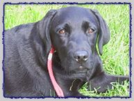 Isla Oärna van de Victoriahof