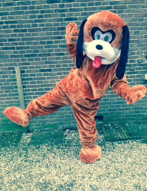 bommel2014