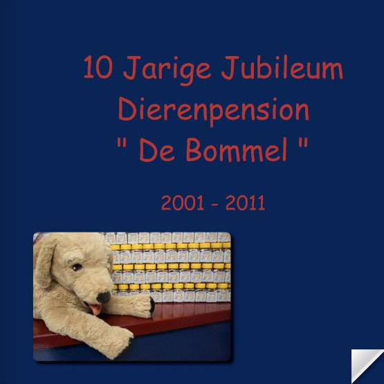 fotoboek 10 jarig jubileum De Bommel