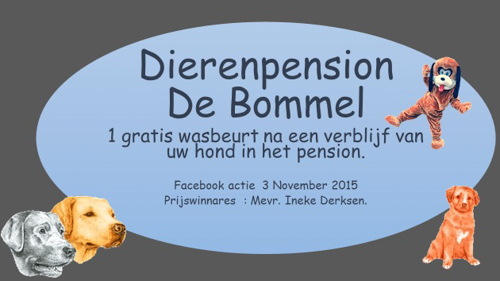 nov2015 actie facebook