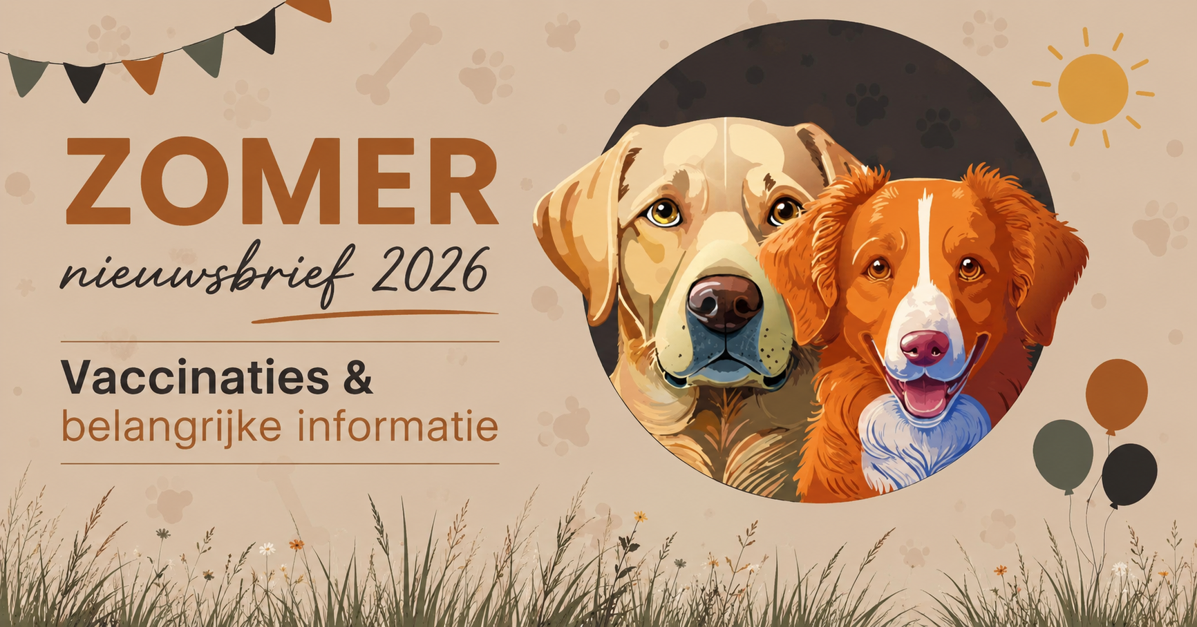 2026 Zomer nieuwsbrief | Vaccinaties & belangrijke informatie