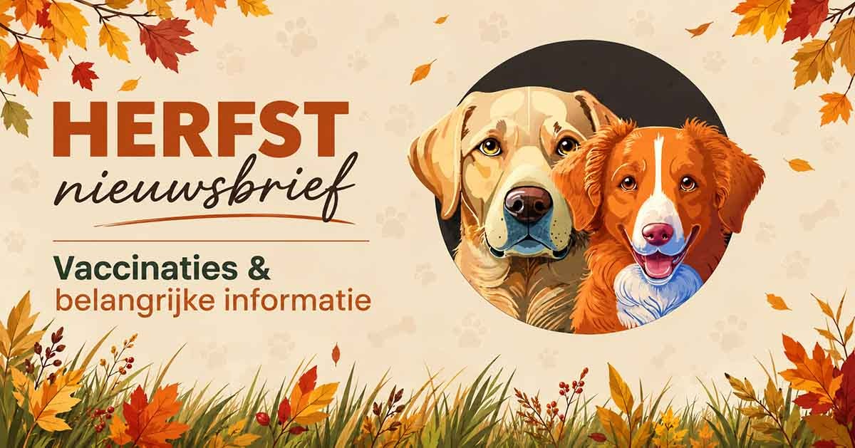 herfstnieuwsbrief