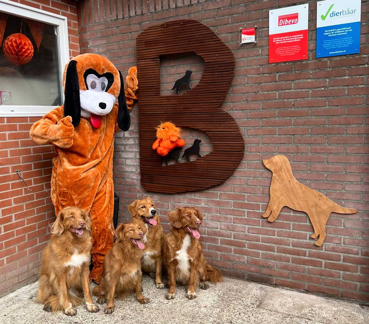 Vacature zelfstandig werkend dierenverzorger - Dierenpension De Bommel